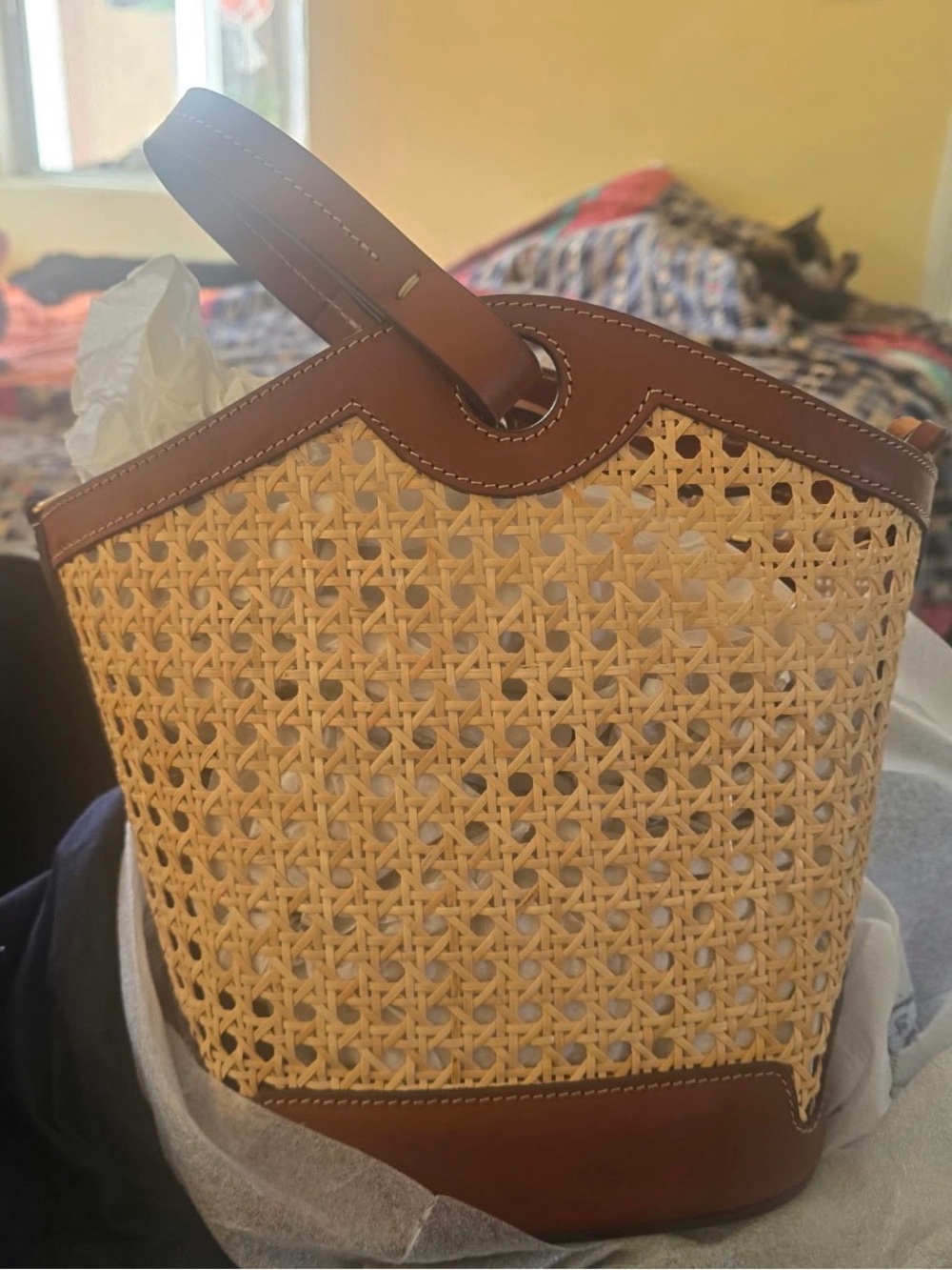 RARE BRAND NEW Dooney & Bourke Alto Vienna Camilla Bella Cane Bucket Purse